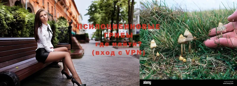 Галлюциногенные грибы Magic Shrooms  Рославль 